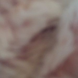 Meet your Posher, Sierra